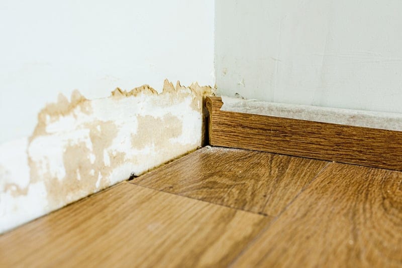 How to Prevent Water Damage