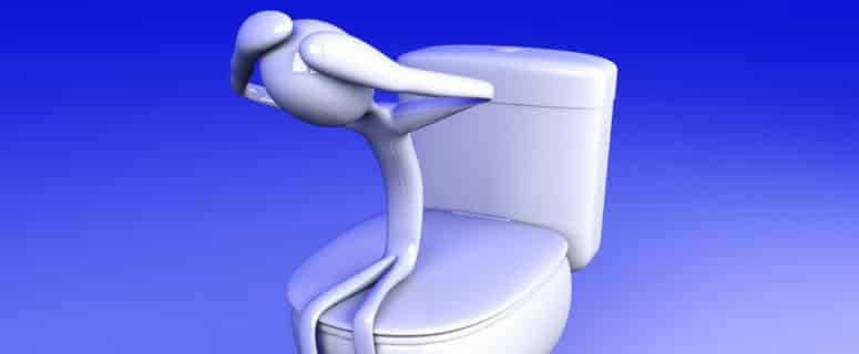 Quickly Fix a Toilet that Won't Flush with this Guide