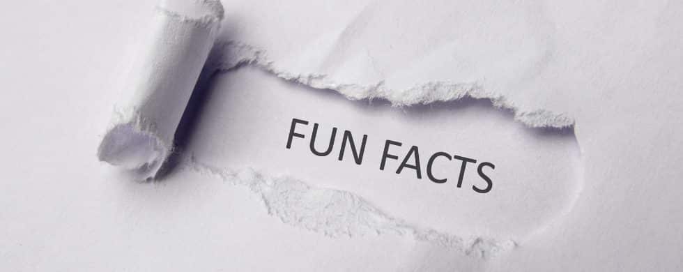 Weird White House Plumbing Wonders!